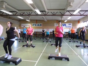 BGIF_insp100