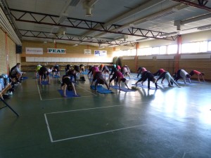 BGIF_insp11