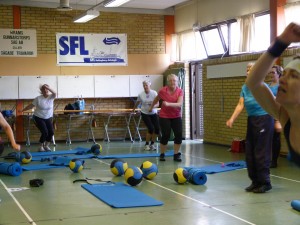 BGIF_insp113
