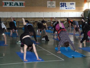 BGIF_insp14