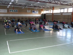 BGIF_insp15