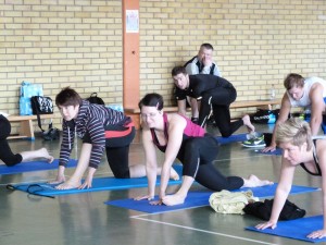 BGIF_insp17