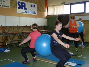 BGIF_insp51