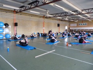 BGIF_insp81