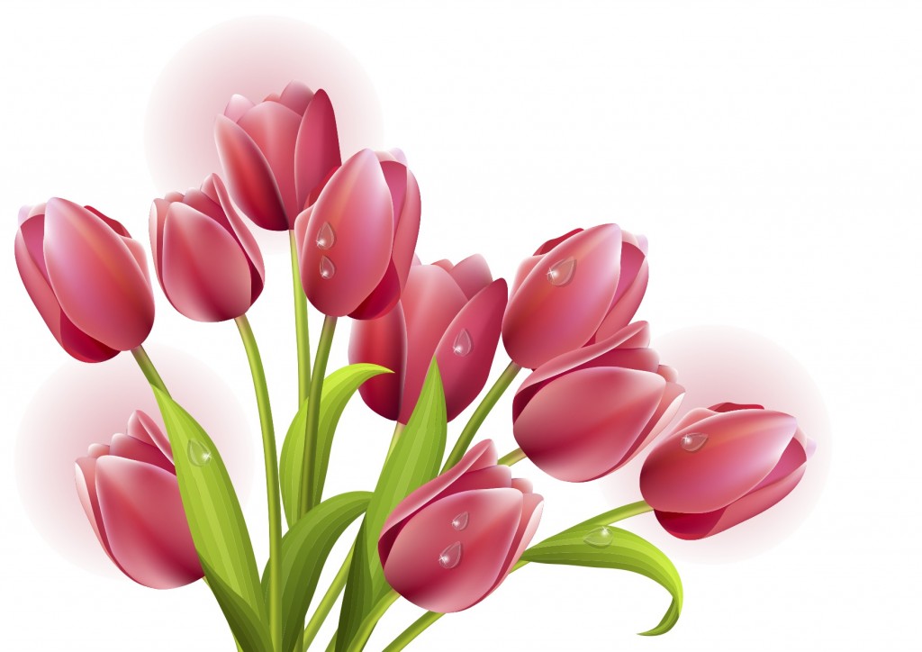 tulips-vector